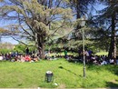 Ponte del 2 Giugno: sole e caldo a Torino, ma rischio temporali in montagna Ponte del 2 Giugno: sole e caldo a Torino, ma rischio temporali in montagna