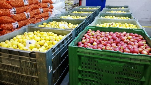 Scaffali dei supermercati vuoti al Sud, Caat: "Da noi rallentamento arrivo merce. Rispetto a Gdo più fornitori"