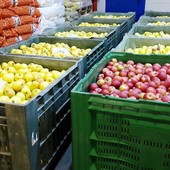 Scaffali dei supermercati vuoti al Sud, Caat: "Da noi rallentamento arrivo merce. Rispetto a Gdo più fornitori" Scaffali dei supermercati vuoti al Sud, Caat: "Da noi rallentamento arrivo merce. Rispetto a Gdo più fornitori"
