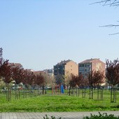 Foto tratta da pagina Facebook del comune di Grugliasco