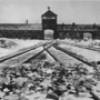 Grugliasco, Promemoria Auschwitz: al via le iscrizioni Grugliasco, Promemoria Auschwitz: al via le iscrizioni