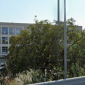 La sede di Rivoli della Magna