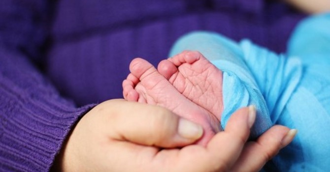 Grugliasco aderisce al progetto “Nati con la Cultura”