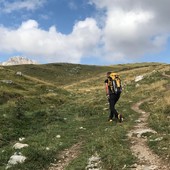 In Piemonte si fa prevenzione dalle malattie anche camminando In Piemonte si fa prevenzione dalle malattie anche camminando