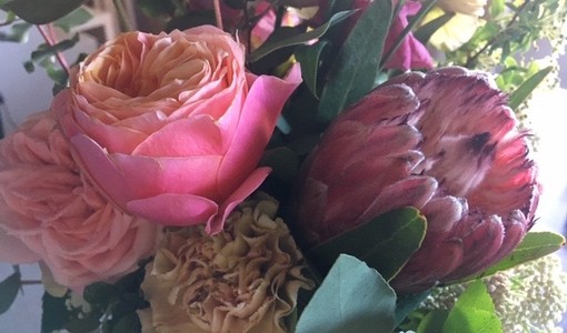 Foto generica d'archivio Foto generica d'archivio