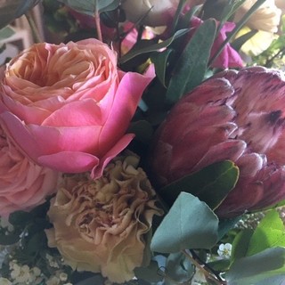 Foto generica d'archivio