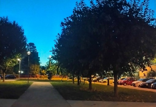 Vandalizzato il parco di Grugliasco dedicato a Falcone e Borsellino