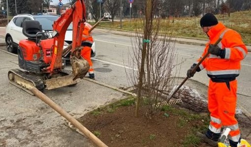 Immagine d'archivio Immagine d'archivio