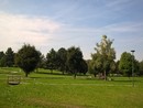 Parco porporati a Grugliasco torna ad ospitare lo Sport Day