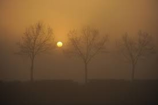 Sole e nebbia - immagine d'archivio