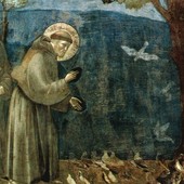 Il 3 ottobre si celebrano gli 800 anni dalla morte di san Francesco (dipinto di Giotto)