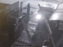 Spaccata con furto in un'azienda di Grugliasco [VIDEO]