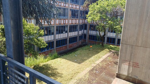 Erba alta: appalto da 700mila euro per la manutenzione del verde nelle scuole Erba alta: appalto da 700mila euro per la manutenzione del verde nelle scuole