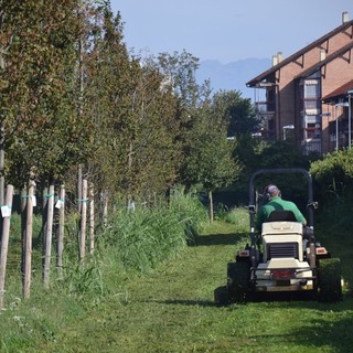 Iniziato il taglio dell'erba nei parchi e nei giardini di Grugliasco