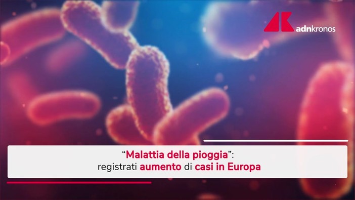 Malattia della pioggia, aumento dei casi in Europa