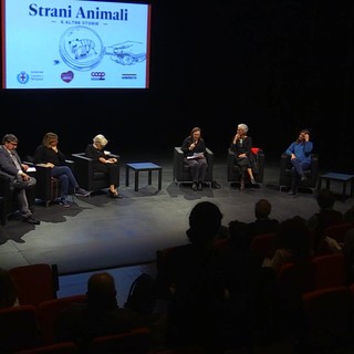 'Strani Animali e altre storie', il libro nato dai bambini che torna ai bambini 'Strani Animali e altre storie', il libro nato dai bambini che torna ai bambini