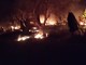 Manduria, vasto incendio distrugge 22 auto e colpisce un immobile Manduria, vasto incendio distrugge 22 auto e colpisce un immobile