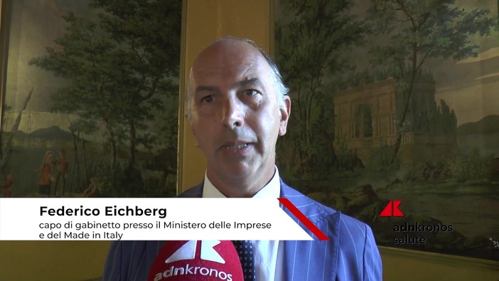 Farmaci: Eichberg (Mimit), 'quadro regolatorio chiaro che consenta investimenti in Italia'