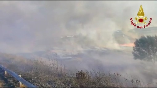 Incendio a Brindisi, a fuoco vasta area sterpaglie e canneto in zona industriale Incendio a Brindisi, a fuoco vasta area sterpaglie e canneto in zona industriale