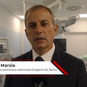 Università: Di Marzio (Gregorio VII), 'qui studenti di Veterinaria hanno occasione formativa unica'