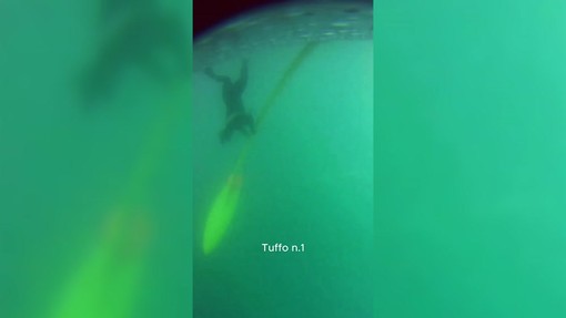 Vendée Arctique, lo skipper Beccaria si tuffa per liberare la barca da una rete