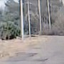 Appicca il fuoco a un deposito nel Leccese, il video del piromane in azione