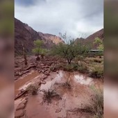 Inondazione improvvisa al Grand Canyon, le immagini dell'onda di fango Inondazione improvvisa al Grand Canyon, le immagini dell'onda di fango