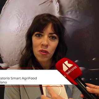 Mozzarella di bufala, Corbo (Polimi): "Ai e digitale alleati della qualità dei prodotti" Mozzarella di bufala, Corbo (Polimi): "Ai e digitale alleati della qualità dei prodotti"