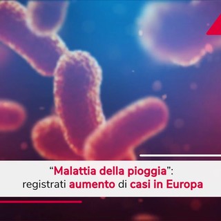Malattia della pioggia, aumento dei casi in Europa