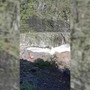 Alluvione in Nepal, operai di una diga rischiano di essere travolti dalla furia dell'acqua Alluvione in Nepal, operai di una diga rischiano di essere travolti dalla furia dell'acqua