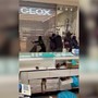 Rapinano gioielleria nel Pavese armati di martello, nella fuga aggredito carabiniere in pensione