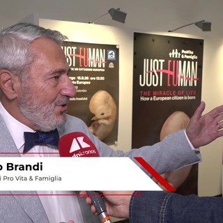 Brandi (Pro Vita): "Mostra 'Just Euman' per mostrare che la vita comincia al concepimento" Brandi (Pro Vita): "Mostra 'Just Euman' per mostrare che la vita comincia al concepimento"