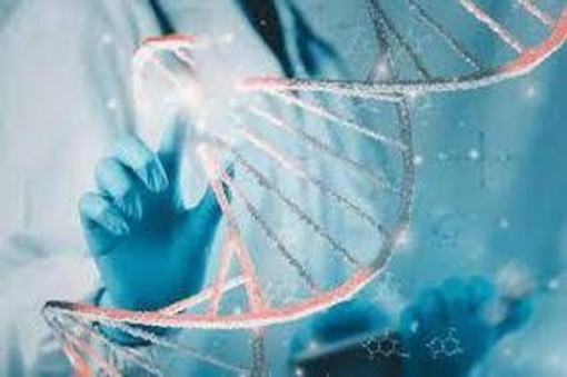 Malattie rare, dal Lazio un modello per continuità cure dall'età pediatrica all'età adulta