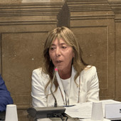Minasi (Lega): "Prevenzione, cure e centralità del paziente le priorità"