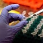 Tumori, in Regione Lombardia 5 proposte per innovare gestione patologie ematologiche