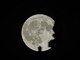 La Superluna, tre sciami di meteoriti e la parata dei pianeti: tutti gli eventi celesti di novembre 2026 La Superluna, tre sciami di meteoriti e la parata dei pianeti: tutti gli eventi celesti di novembre 2026
