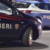 Reggio Emilia, aggredisce donna con cacciavite e investe due persone: fermato 26enne Reggio Emilia, aggredisce donna con cacciavite e investe due persone: fermato 26enne
