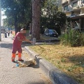 Roma, ripulite le aiuole nel degrado intorno alla Nuvola: l'intervento dopo la denuncia dell'Adnkronos