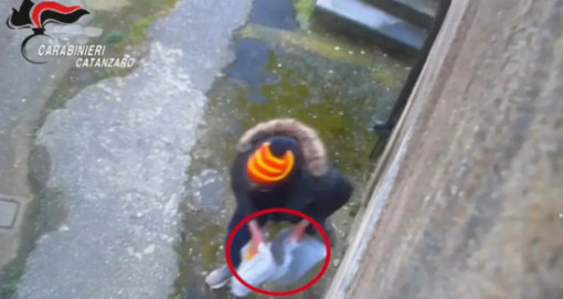 Droga comprata con il reddito di cittadinanza, 24 indagati tra Catanzaro e Vicenza