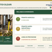 Agricoltura, Ismea: 40 mln per frantoi con 'Cambiale Frantoi Oleari'