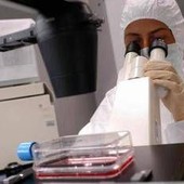 Florida, cresce l'allarme per il batterio mangiacarne: c'è una seconda vittima