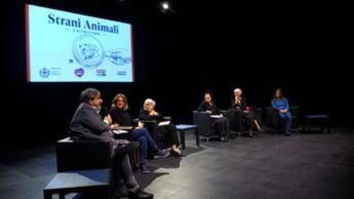 'Strani animali e altre storie', 20 racconti nati dai disegni dei bambini 'Strani animali e altre storie', 20 racconti nati dai disegni dei bambini