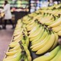 Banana tra potassio e rischio glicemia, meglio acerba o matura? Cosa dice l'esperto Banana tra potassio e rischio glicemia, meglio acerba o matura? Cosa dice l'esperto