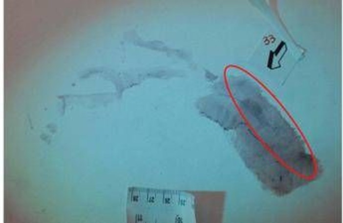 Caso Garlasco, procura mette la parola fine su impronta 33: non c'è sangue