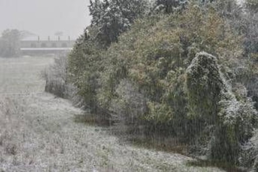 Neve e gelo polare, inverno è in anticipo