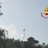Incendi sul Gargano, fiamme domate. Sindaco di Peschici: "Turisti rientrati nelle strutture" Incendi sul Gargano, fiamme domate. Sindaco di Peschici: "Turisti rientrati nelle strutture"