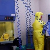 Shamonda virus, primo caso umano: cosa sappiamo, tutti i rischi Shamonda virus, primo caso umano: cosa sappiamo, tutti i rischi