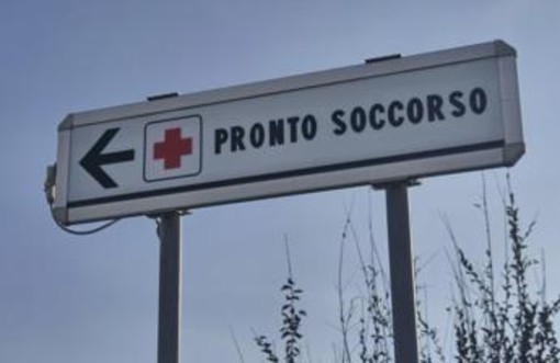 Due bambine azzannate da un cane randagio a Bari: una è in rianimazione
