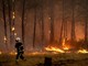 Incendi "mostruosi" in Francia e Spagna, oltre 325mila evacuati. In arrivo ondata di caldo ancora più intensa Incendi "mostruosi" in Francia e Spagna, oltre 325mila evacuati. In arrivo ondata di caldo ancora più intensa