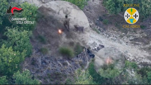 Sorpreso dal drone a incendiare bosco, arrestato allevatore nel vibonese